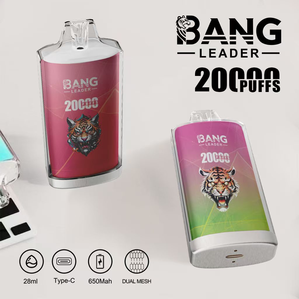 Bang Leader 20000パフ 使い捨て電子タバコ **大量仕入れ・卸売特価対応**
