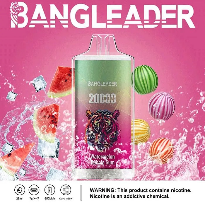 Bang Leader 20000パフ 使い捨て電子タバコ **大量仕入れ・卸売特価対応**