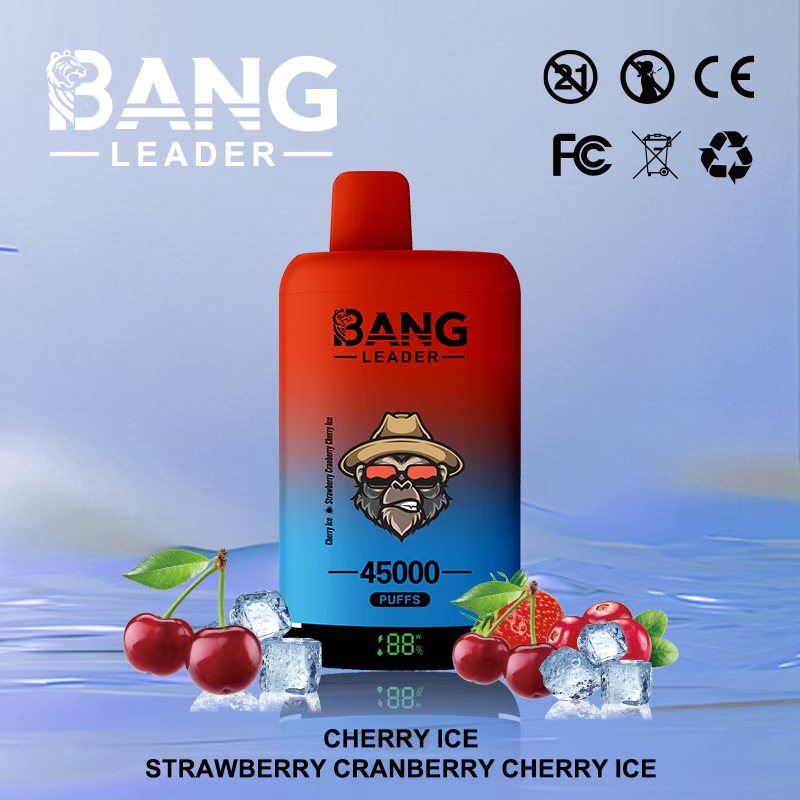 Bang Leader 45000｜45,000回吸引・2フレーバー切替 使い捨て電子タバコ