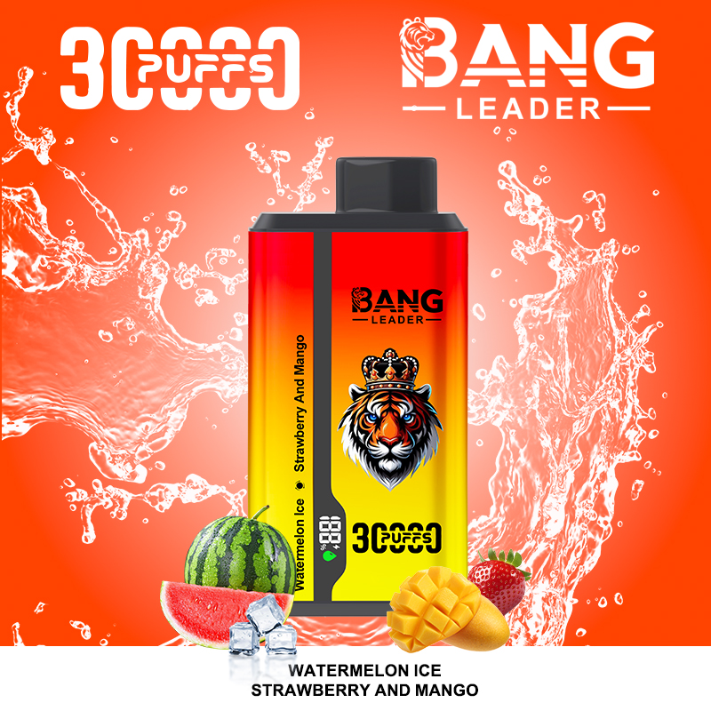Bang Leader 30000パフ デュアルフレーバー使い捨て電子タバコ｜0％・2％・3％・5％対応｜LEDディスプレイ搭載｜電子タバコ卸売対応