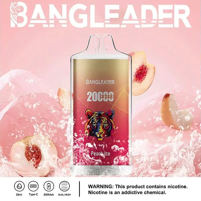 Bang Leader 20000パフ 使い捨て電子タバコ **大量仕入れ・卸売特価対応**