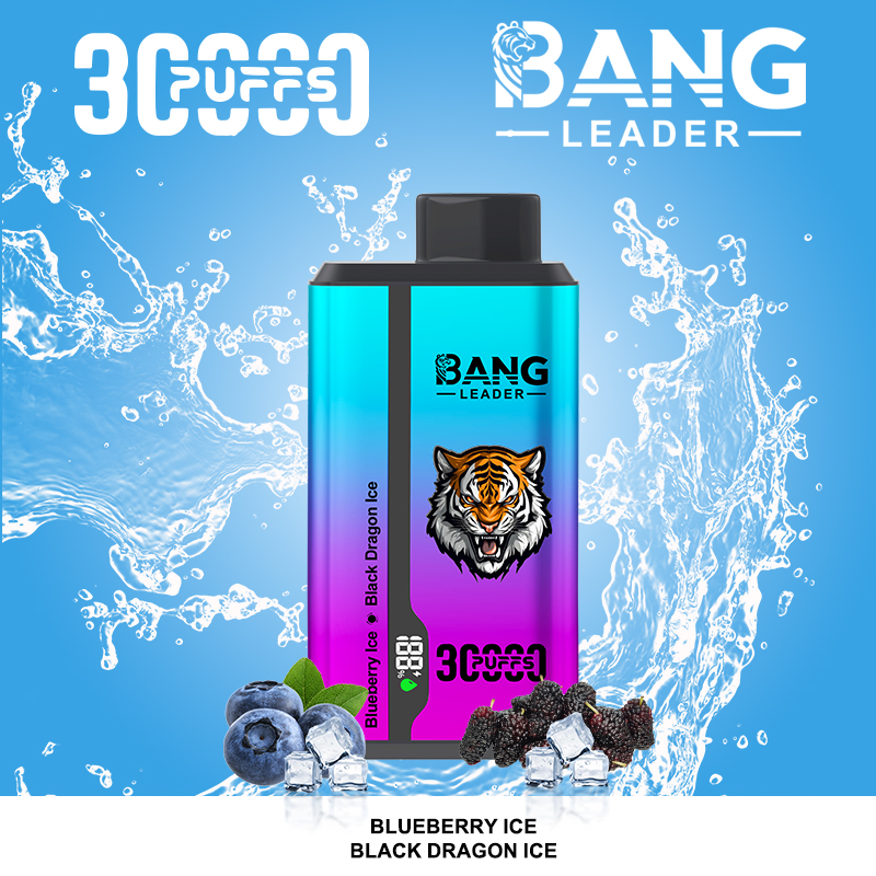 Bang Leader 30000パフ デュアルフレーバー使い捨て電子タバコ｜0％・2％・3％・5％対応｜LEDディスプレイ搭載｜電子タバコ卸売対応