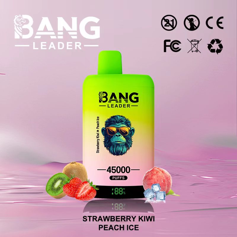 Bang Leader 45000｜45,000回吸引・2フレーバー切替 使い捨て電子タバコ
