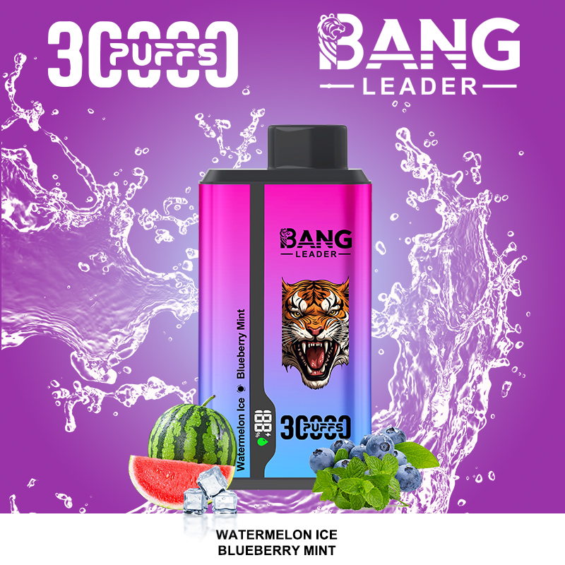 Bang Leader 30000パフ デュアルフレーバー使い捨て電子タバコ｜0％・2％・3％・5％対応｜LEDディスプレイ搭載｜電子タバコ卸売対応