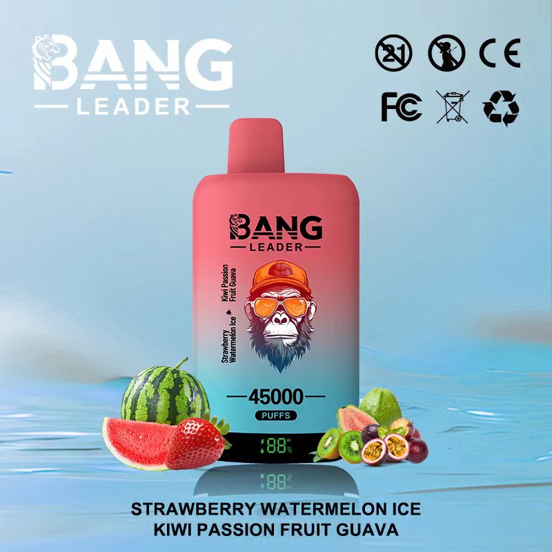 Bang Leader 45000｜45,000回吸引・2フレーバー切替 使い捨て電子タバコ