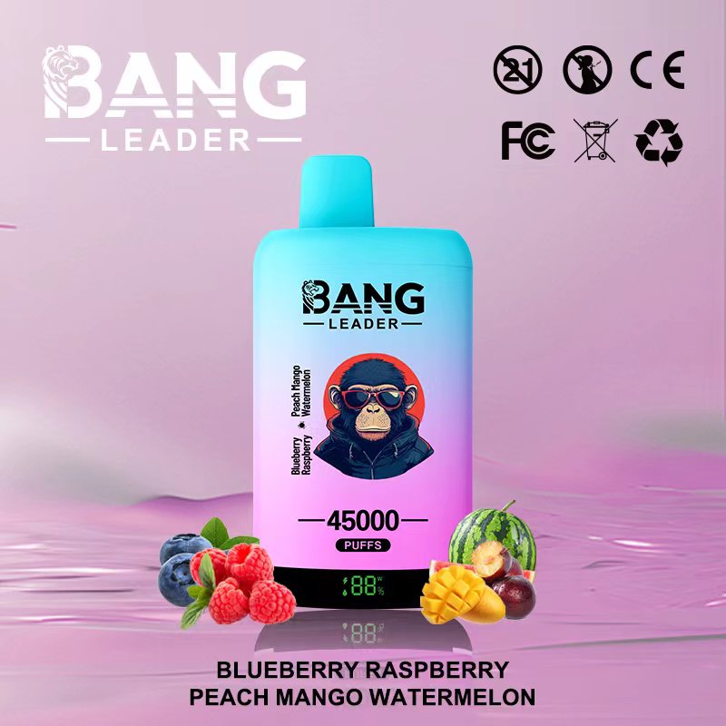 Bang Leader 45000｜45,000回吸引・2フレーバー切替 使い捨て電子タバコ