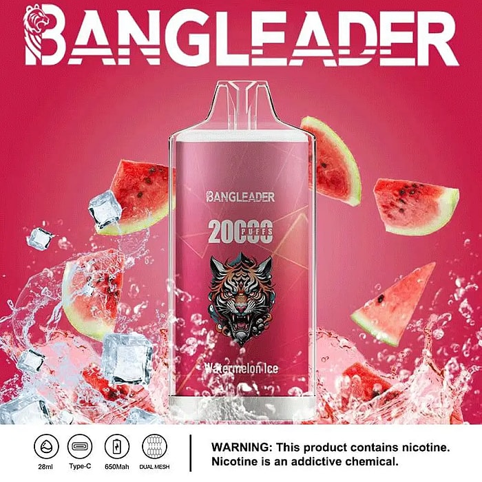 Bang Leader 20000パフ 使い捨て電子タバコ **大量仕入れ・卸売特価対応**