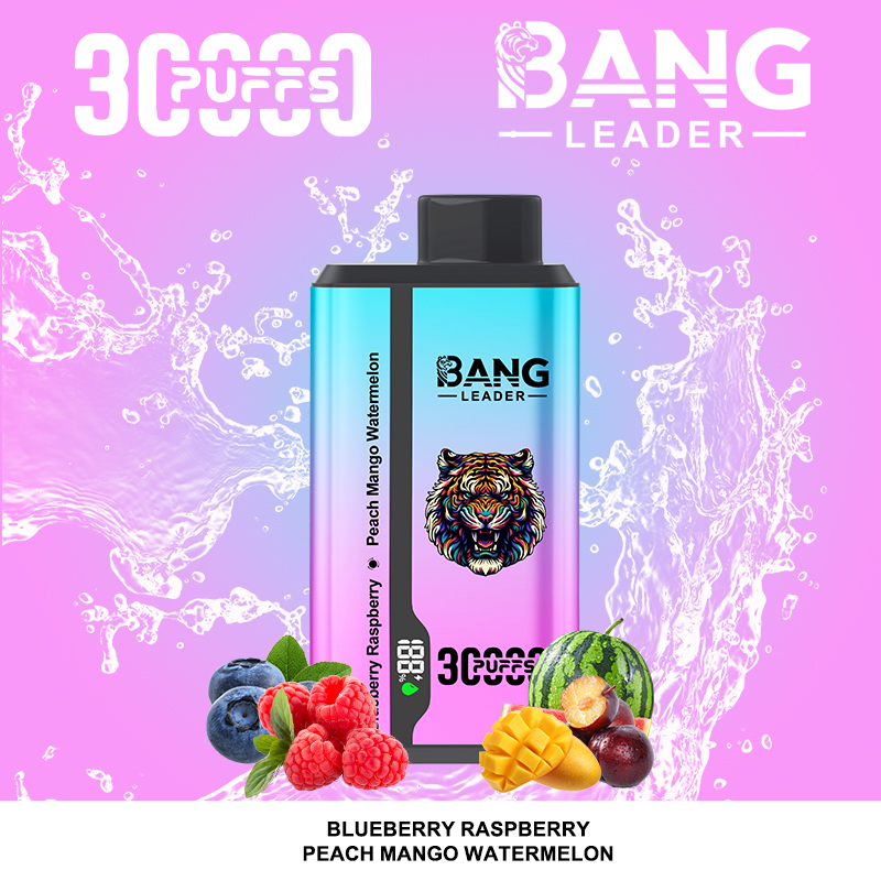 Bang Leader 30000パフ デュアルフレーバー使い捨て電子タバコ｜0％・2％・3％・5％対応｜LEDディスプレイ搭載｜電子タバコ卸売対応