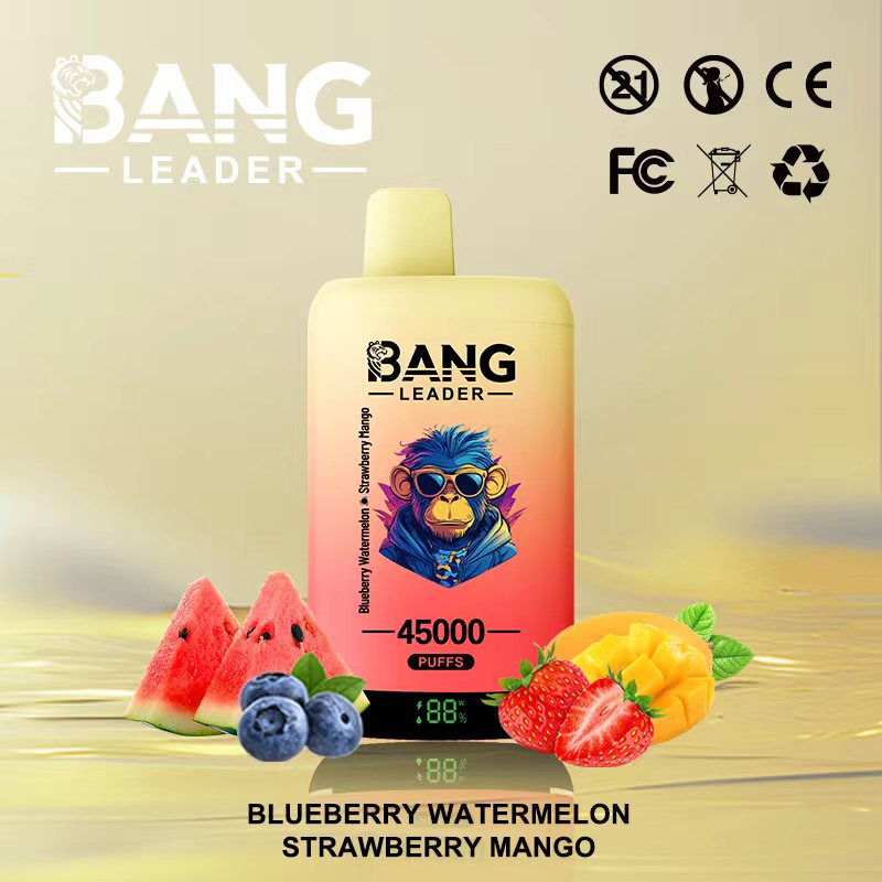 Bang Leader 45000｜45,000回吸引・2フレーバー切替 使い捨て電子タバコ