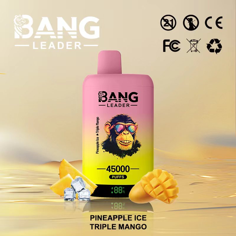 Bang Leader 45000｜45,000回吸引・2フレーバー切替 使い捨て電子タバコ