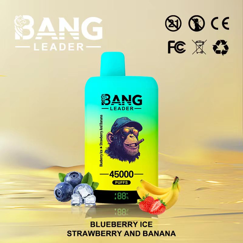 Bang Leader 45000｜45,000回吸引・2フレーバー切替 使い捨て電子タバコ