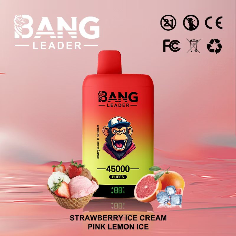 Bang Leader 45000｜45,000回吸引・2フレーバー切替 使い捨て電子タバコ