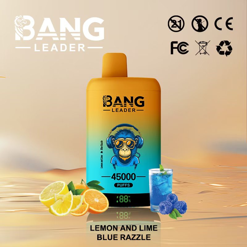 Bang Leader 45000｜45,000回吸引・2フレーバー切替 使い捨て電子タバコ