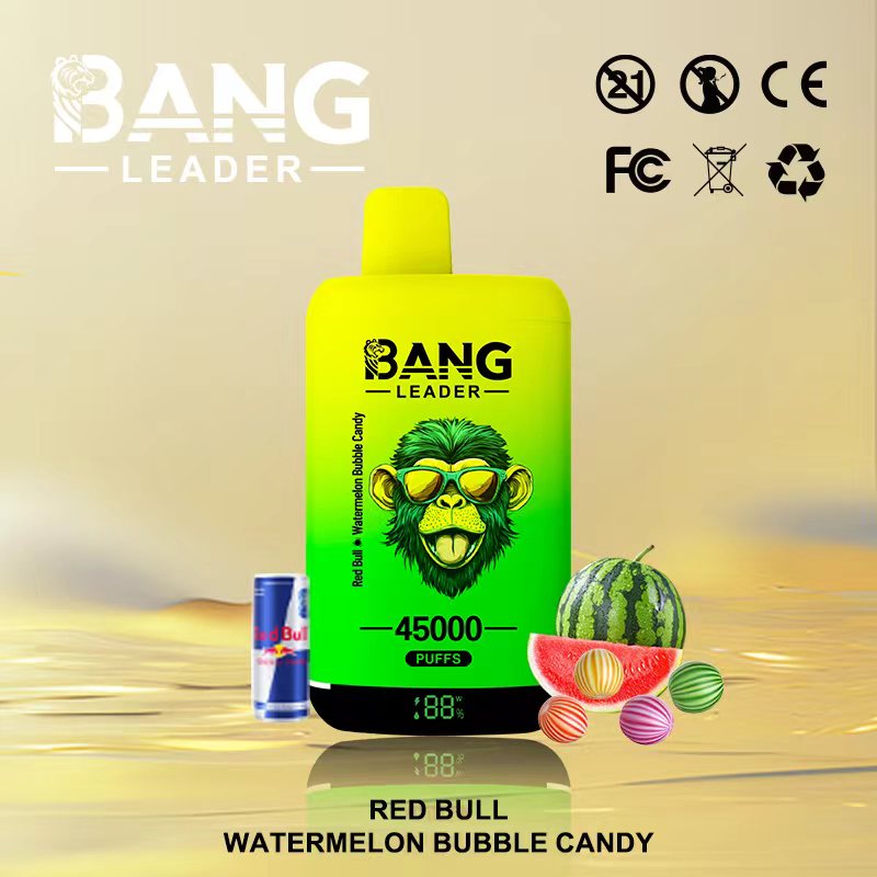 Bang Leader 45000｜45,000回吸引・2フレーバー切替 使い捨て電子タバコ