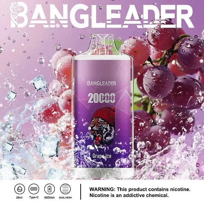 Bang Leader 20000パフ 使い捨て電子タバコ **大量仕入れ・卸売特価対応**