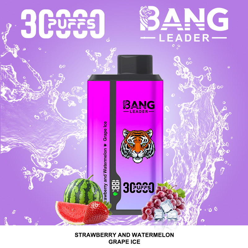 Bang Leader 30000パフ デュアルフレーバー使い捨て電子タバコ｜0％・2％・3％・5％対応｜LEDディスプレイ搭載｜電子タバコ卸売対応