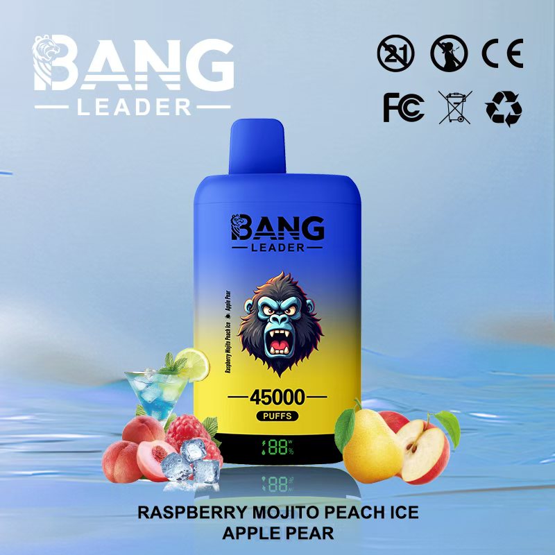 Bang Leader 45000｜45,000回吸引・2フレーバー切替 使い捨て電子タバコ