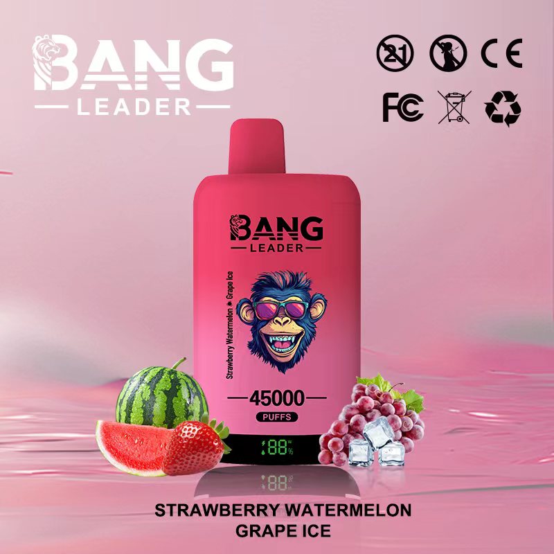 Bang Leader 45000｜45,000回吸引・2フレーバー切替 使い捨て電子タバコ