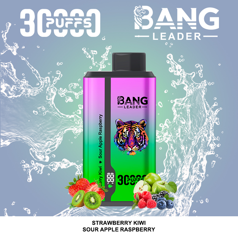 Bang Leader 30000パフ デュアルフレーバー使い捨て電子タバコ｜0％・2％・3％・5％対応｜LEDディスプレイ搭載｜電子タバコ卸売対応