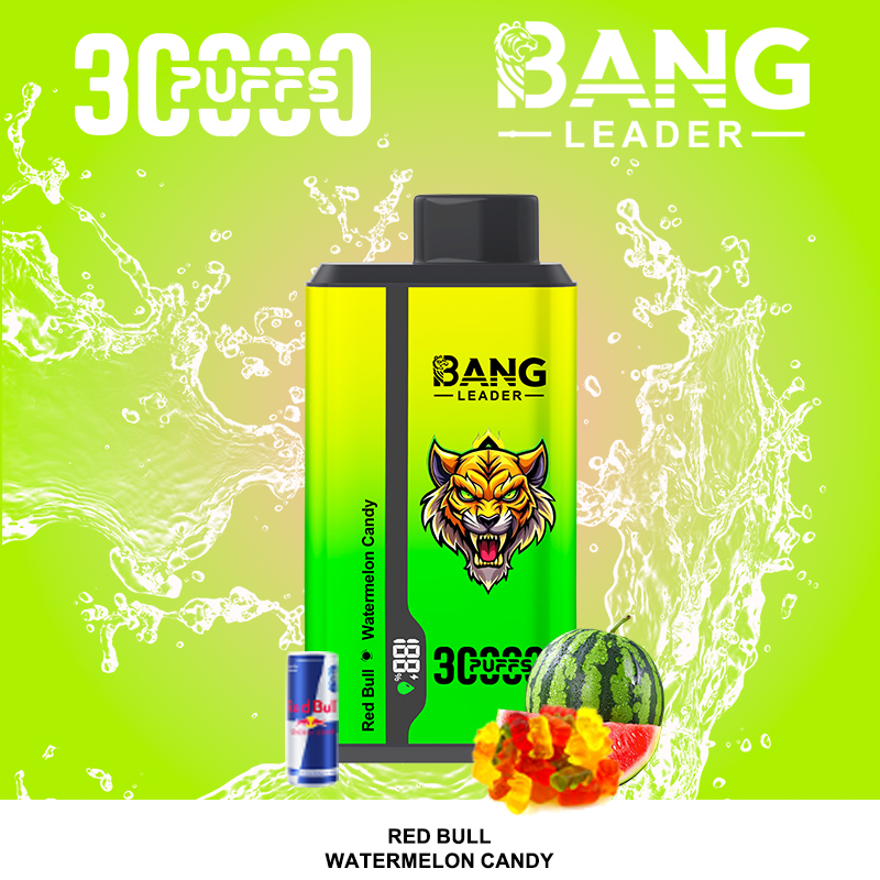 Bang Leader 30000パフ デュアルフレーバー使い捨て電子タバコ｜0％・2％・3％・5％対応｜LEDディスプレイ搭載｜電子タバコ卸売対応