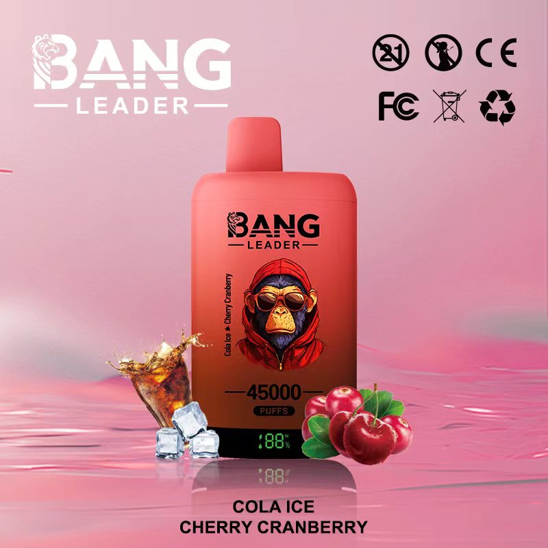 Bang Leader 45000｜45,000回吸引・2フレーバー切替 使い捨て電子タバコ