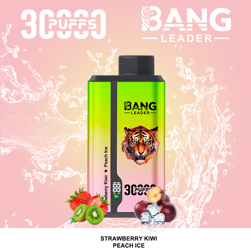 Bang Leader 30000パフ デュアルフレーバー使い捨て電子タバコ｜0％・2％・3％・5％対応｜LEDディスプレイ搭載｜電子タバコ卸売対応