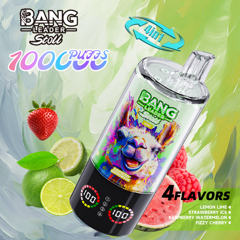 Bang Leader 100k Puffs 使い捨て電子タバコ｜大容量・長持ち・高性能VAPE