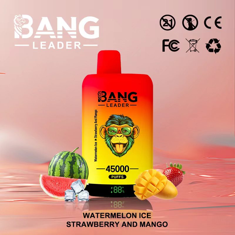 Bang Leader 45000｜45,000回吸引・2フレーバー切替 使い捨て電子タバコ