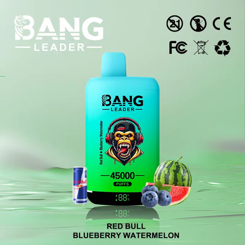 Bang Leader 45000｜45,000回吸引・2フレーバー切替 使い捨て電子タバコ