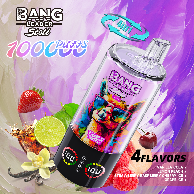 Bang Leader 100k Puffs 使い捨て電子タバコ｜大容量・長持ち・高性能VAPE