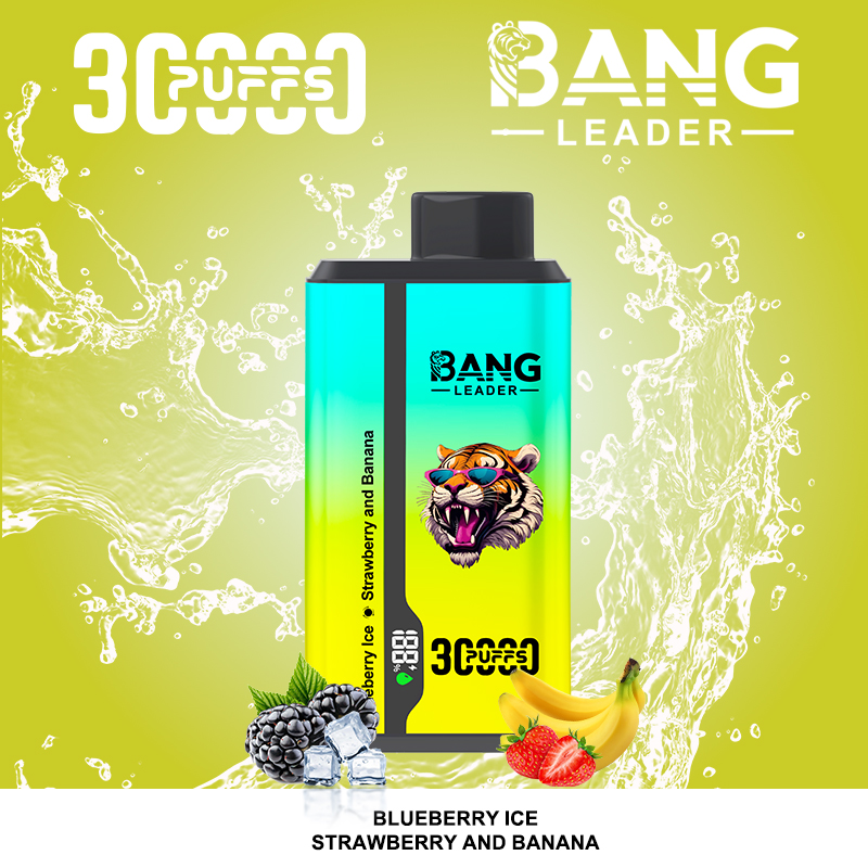 Bang Leader 30000パフ デュアルフレーバー使い捨て電子タバコ｜0％・2％・3％・5％対応｜LEDディスプレイ搭載｜電子タバコ卸売対応