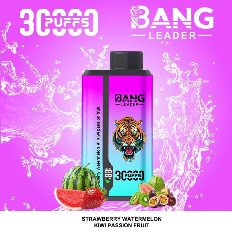 Bang Leader 30000パフ デュアルフレーバー使い捨て電子タバコ｜0％・2％・3％・5％対応｜LEDディスプレイ搭載｜電子タバコ卸売対応