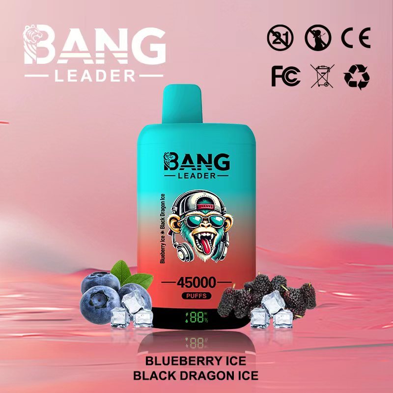 Bang Leader 45000｜45,000回吸引・2フレーバー切替 使い捨て電子タバコ