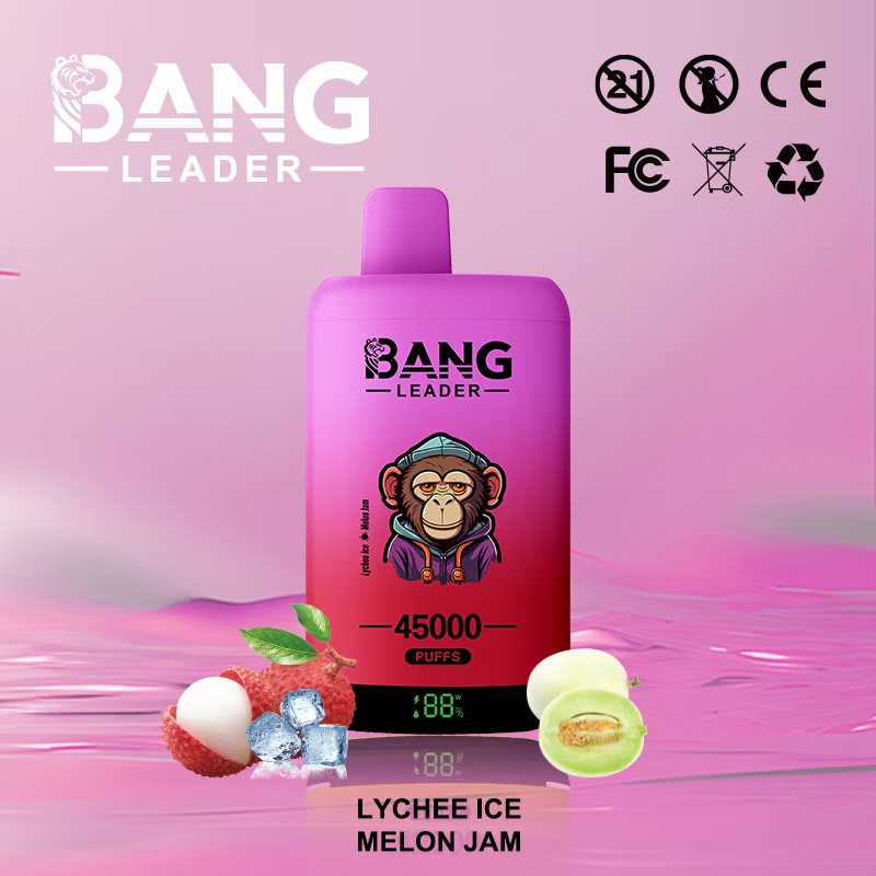 Bang Leader 45000｜45,000回吸引・2フレーバー切替 使い捨て電子タバコ