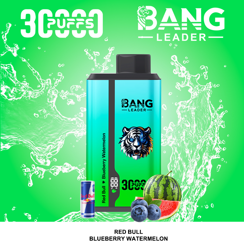 Bang Leader 30000パフ デュアルフレーバー使い捨て電子タバコ｜0％・2％・3％・5％対応｜LEDディスプレイ搭載｜電子タバコ卸売対応