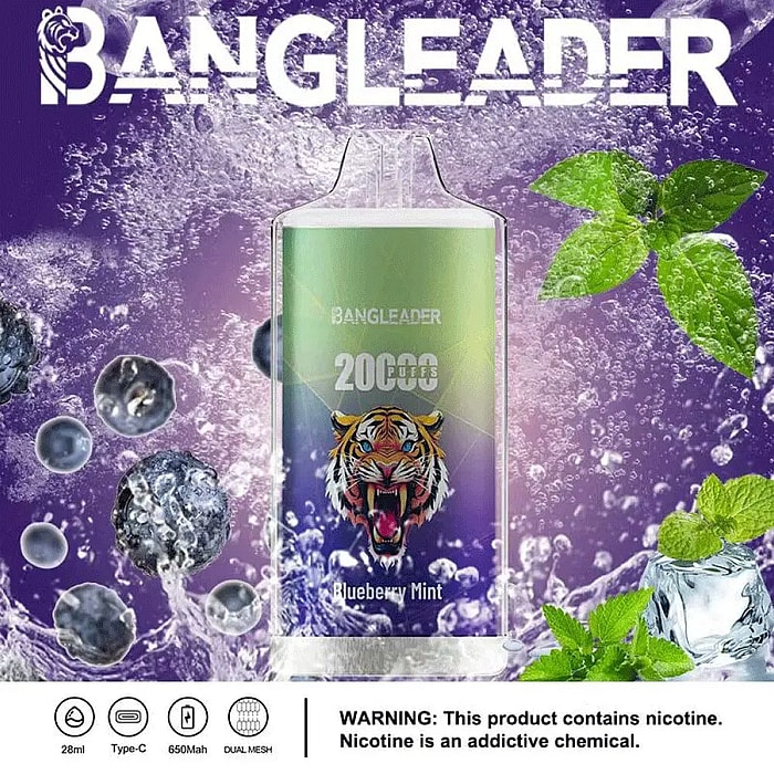 Bang Leader 20000パフ 使い捨て電子タバコ **大量仕入れ・卸売特価対応**