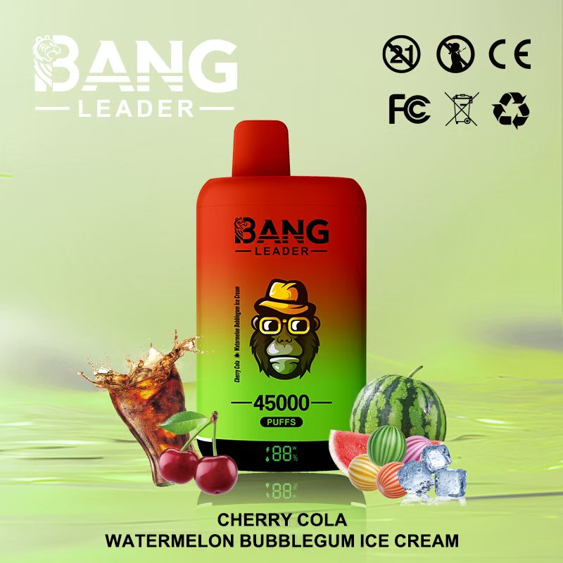 Bang Leader 45000｜45,000回吸引・2フレーバー切替 使い捨て電子タバコ