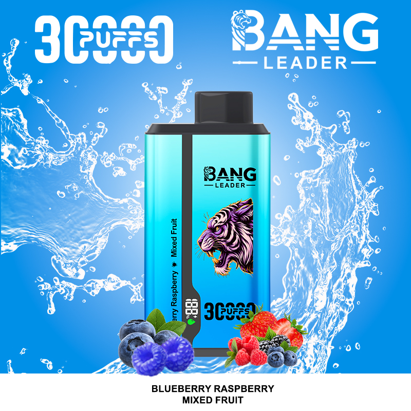 Bang Leader 30000パフ デュアルフレーバー使い捨て電子タバコ｜0％・2％・3％・5％対応｜LEDディスプレイ搭載｜電子タバコ卸売対応