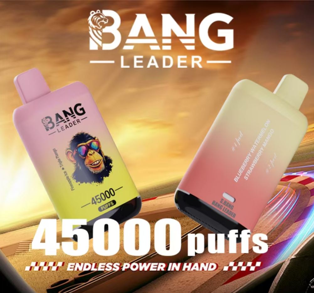 Bang Leader 45000｜45,000回吸引・2フレーバー切替 使い捨て電子タバコ