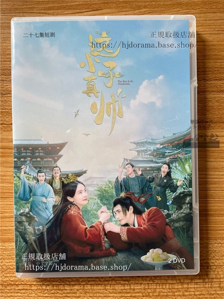 中国ドラマ 這小子真帥2022 DVD 全話 海外盤-華流グッズストア
