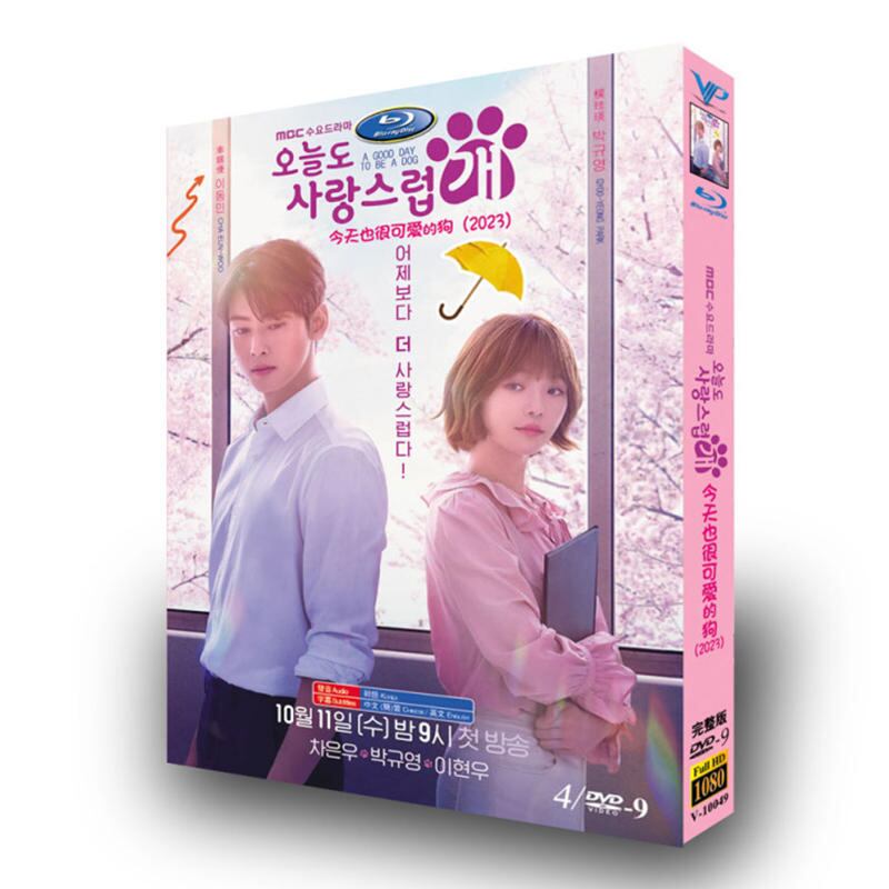 韓国ドラマ「ワンダフルデイズ」dvd高画質海外盤正規品4d9-華流グッズストア
