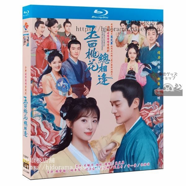 「玉面桃花相逢」DVD-BOX 張含韵 チャンハンユン トンモンシー The Lady in Butchers House海外盤正規品1080P-華流グッズストア
