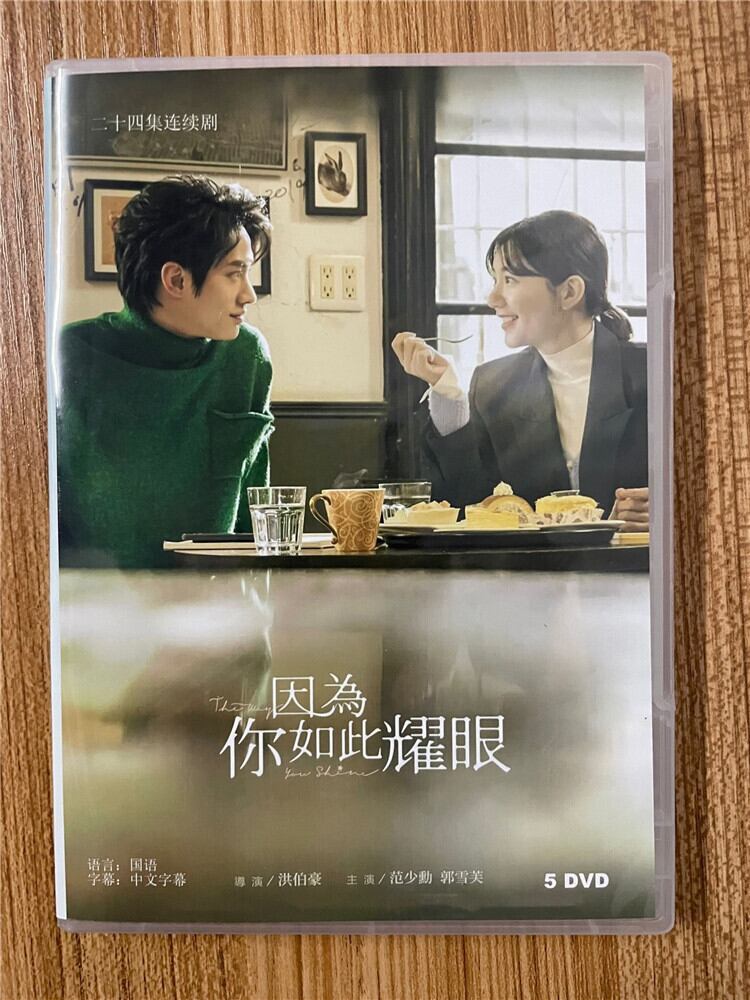 中国ドラマ 因為?如此耀眼 .2023 DVD-BOX 全話 中国盤-華流グッズストア
