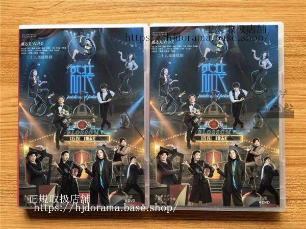 中国ドラマ「盛装」DVD-BOX 宋佳 ソンジア 陳赫 マイケルチェン Pride and Price 全話 中国盤 未使用-華流グッズストア
