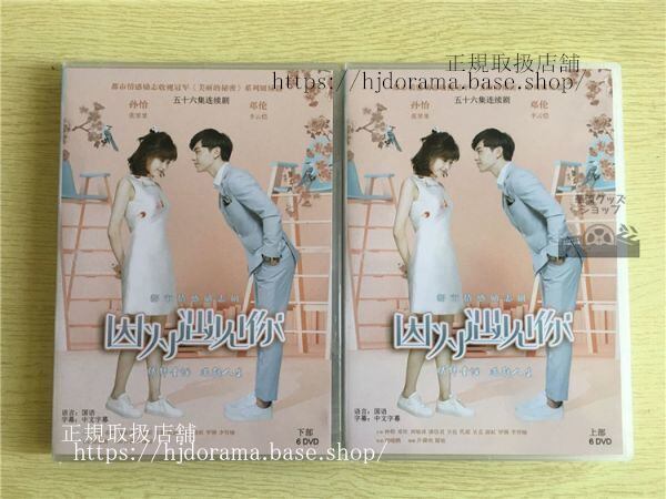 中国ドラマ「因為遇見祢Because of You」李雲愷 張果果 鄧倫 孫怡 ダンルン DVD12枚 日本語字幕なし）-華流グッズストア

