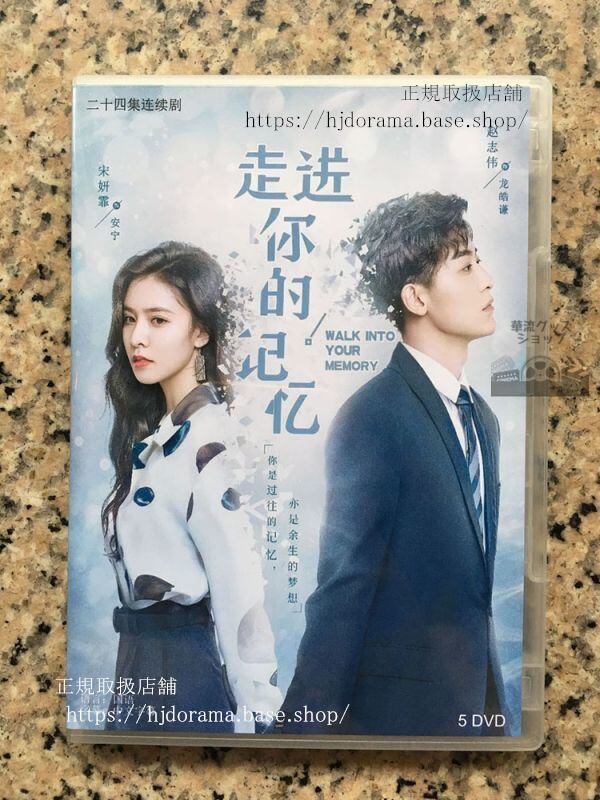 中国ドラマ「走進祢的記憶」DVD-BOX Walk Into Your Memory 趙志偉 宋妍霏 全話 中国盤 華流ドラマ-華流グッズストア
