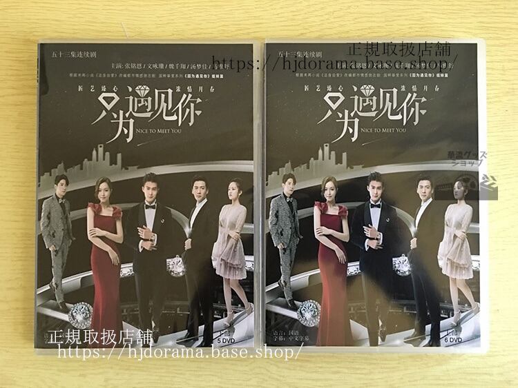 「只為遇見袮」DVD-BOX Nice To Meet You 張銘恩 チャンミンオン 季肖冰 ジシャオビン全話 中国盤-華流グッズストア
