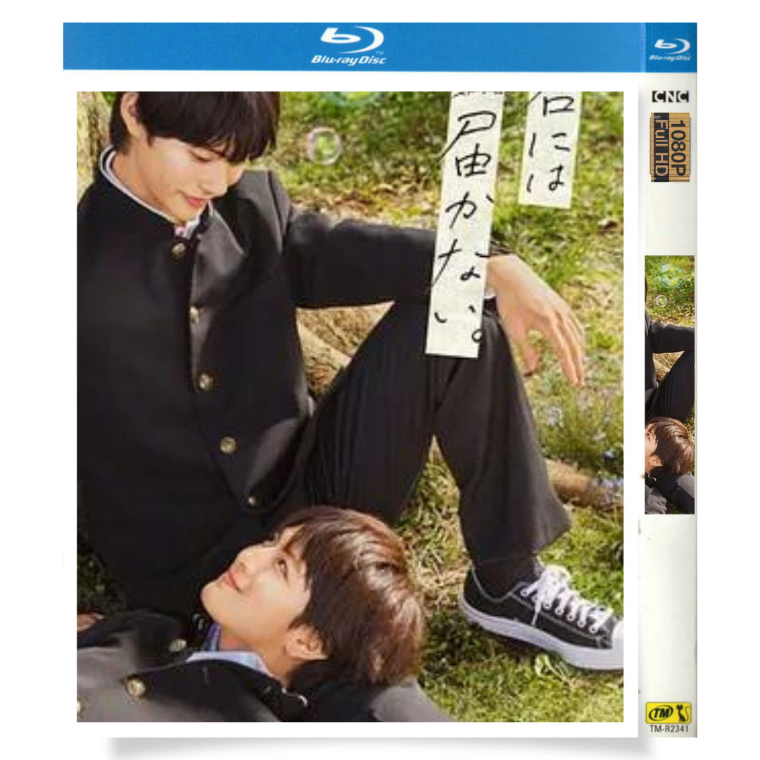 日本ドラマ「君には届かない。 (2023)」 ブルーレイ[Blu-ray-BOX] 2-DISC 前田拳太郎 柏木悠-華流グッズストア
