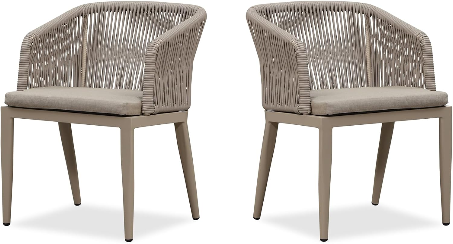 2 Pieces Outdoor Dining Chairs 