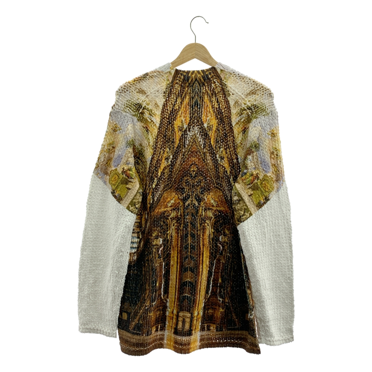 COMME des GARCONS HOMME PLUS / コムデギャルソンオムプリュス | 2024SS | ポリエステル グラフィック 転写プリント ニット | S | メンズ